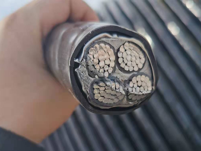 鎧裝電纜價(jià)格比普通電纜的貴憑什么？