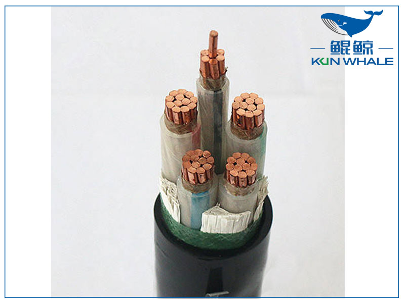 鄭州電纜廠帶你了解wdz—yje是什么電纜？