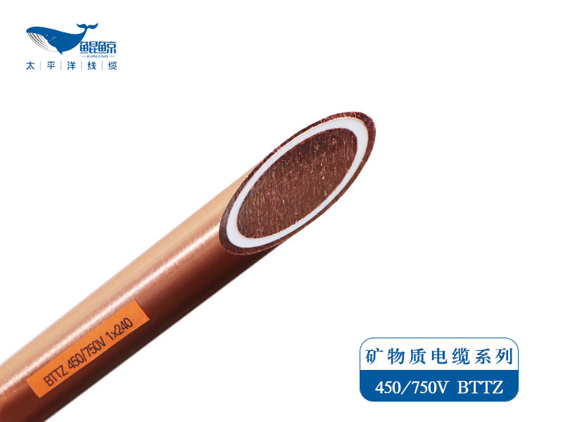 BTTZ是什么電纜的型號(hào)，你知道嗎?