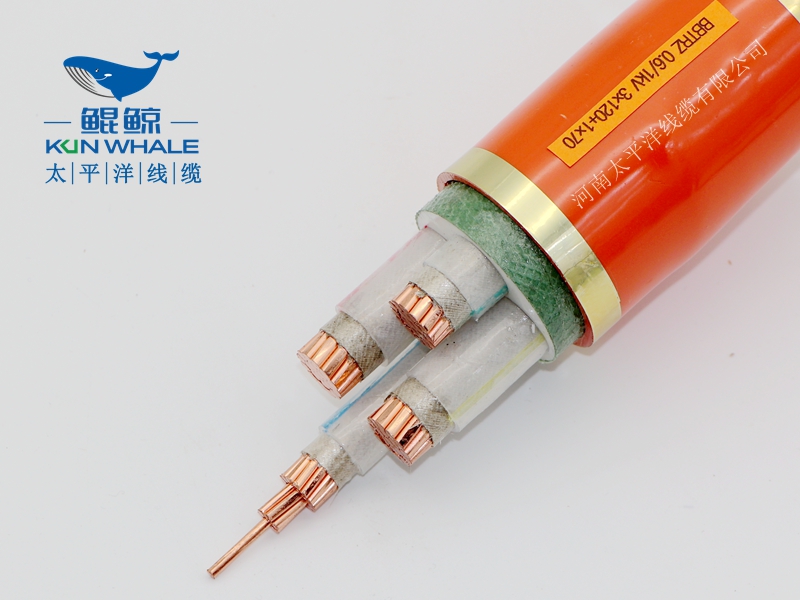 電線電纜廠家淺談什么叫BTTRZ電纜YTTW電纜型號(hào)是什么？